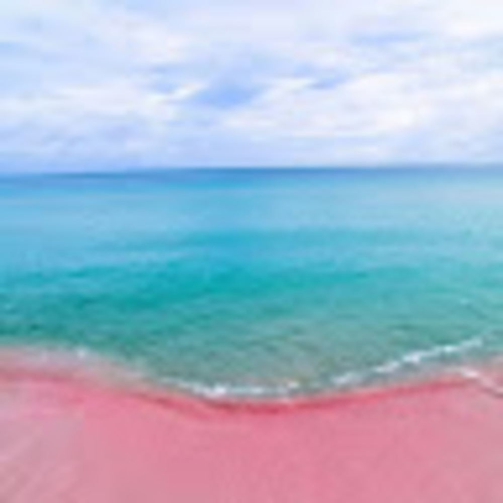 Meet your Posher, Eva